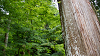 camp29 (203)_thumb.png